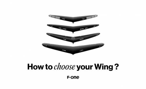 How To Choose Your Wing? 7