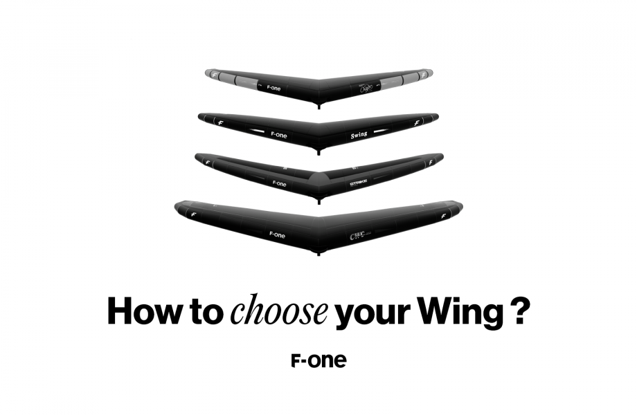 How To Choose Your Wing? 7