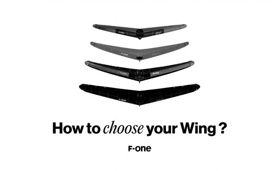 Comment choisir sa Wing? 1