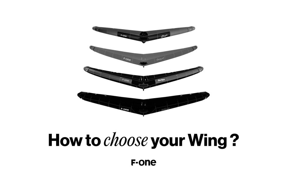 Comment choisir sa Wing? 1